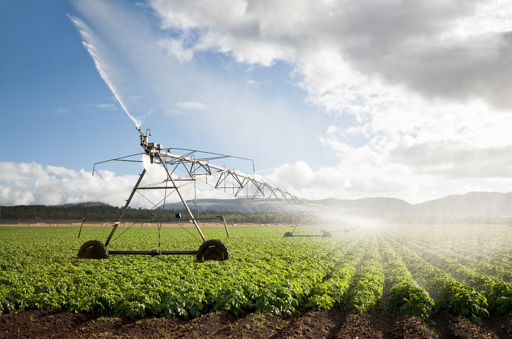 An irrigation machine on a potato field in Australia.